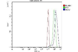 Flow Cytometry analysis of PC-3 cells using anti-Hox8/MSX2 antibody (ABIN7598976).