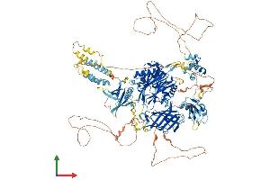 Protein Structure (PS) image for Inositol Polyphosphate Phosphatase-Like 1 (INPPL1) (AA 1-1257) protein (His tag) (ABIN7564086)