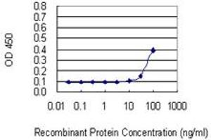 Detection limit for recombinant GST tagged SSB is 10 ng/ml as a capture antibody. (SSB Antikörper  (AA 1-408))