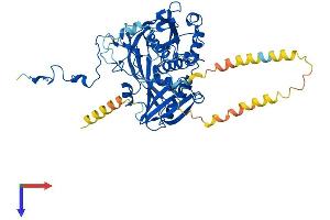 EIF3D Protein (AA 1-548) (His tag)