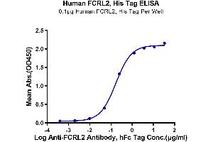 ELISA image for Fc Receptor-Like 2 (FCRL2) (AA 20-401) protein (His tag) (ABIN7274591)