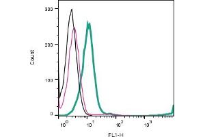 Cell surface detection of GPR183 by direct flow cytometry in live intact human Jurkat T-cell leukemia cells: + Rabbit IgG Isotype Control-FITC (ABIN7582044). (GPR183 Antikörper  (Extracellular) (FITC))