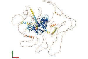 Protein Structure (PS) image for rho GTPase Activating Protein 6 (ARHGAP6) (AA 1-987) protein (His tag) (ABIN7562428)