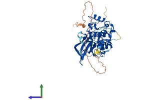 Protein Structure (PS) image for serine/threonine Kinase 17b (STK17B) (AA 1-372) protein (His tag) (ABIN7558524)