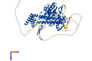 PCIF1 Protein (AA 1-706) (His tag)