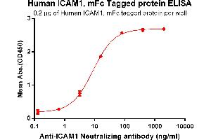 ELISA image for Intercellular Adhesion Molecule 1 (ICAM1) (AA 48-480) protein (mFc Tag) (ABIN6961122)