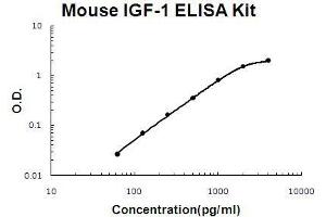 Mouse IGF-1 PicoKine ELISA Kit standard curve (IGF1 ELISA Kit)