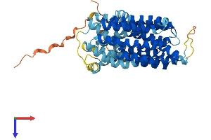 SLC46A1 Protein (AA 1-459) (His tag)