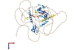 CSRNP3 Protein (AA 1-597) (His tag)