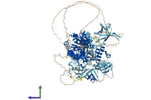 Protein Structure (PS) image for Mov10l1, Moloney Leukemia Virus 10-Like 1 (MOV10L1) (AA 1-1187) protein (His tag) (ABIN7564909)