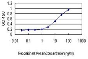 Detection limit for recombinant GST tagged EGFL7 is approximately 0.