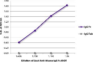 ELISA plate was coated with purified mouse IgG Fc and IgG Fab. (Ziege anti-Maus IgG (Fc Region) Antikörper (Biotin))