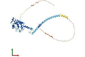 Protein Structure (PS) image for Phosphate Cytidylyltransferase 1, Choline, beta (PCYT1B) (AA 1-369) protein (His tag) (ABIN7558485)