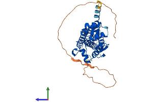 AlphaFold protein structure predicition of Human Recombinant ZDHHC2 Protein, UniprotID Q9UIJ5
