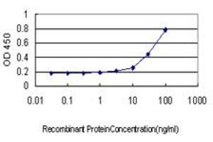 Detection limit for recombinant GST tagged BANF1 is approximately 1ng/ml as a capture antibody.