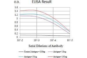 Black line: Control Antigen (100 ng),Purple line: Antigen (10 ng), Blue line: Antigen (50 ng), Red line:Antigen (100 ng) (PVRL2 Antikörper  (AA 58-212))