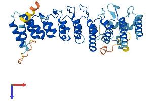 ASB6 Protein (AA 1-421) (His tag)