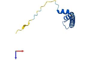 Cytochrome C Oxidase Assembly Factor 4 Homolog (S. Cerevisiae) (COA4) (AA 1-87) protein (His tag)