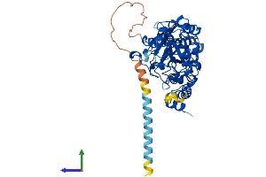 Protein Structure (PS) image for Fucosyltransferase 10 (Alpha (1,3) Fucosyltransferase) (FUT10) (AA 1-479) protein (His tag) (ABIN7547836)