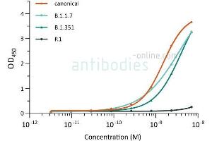 Direct ELISA of SARS-CoV-2 variant proteins with anti-SARS-CoV-2 Spike S1 antibody ABIN6952976.