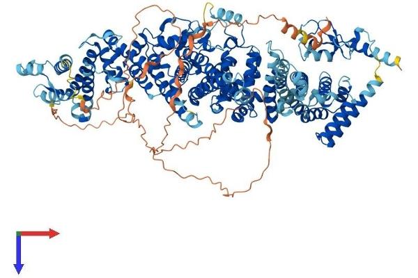 UBE4B Protein (AA 1-1173) (His tag)