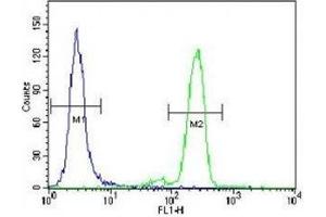 PML antibody flow cytometric analysis of HeLa cells (right histogram) compared to a negative control (left histogram). (PML Antikörper  (Sumoylation Site))