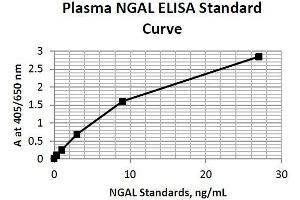 ELISA image for Lipocalin 2 (LCN2) ELISA Kit (ABIN2014344)