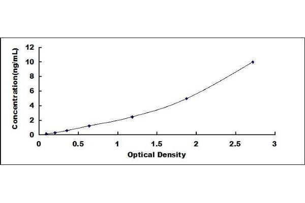 VDAC1 ELISA Kit