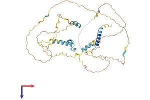 FAM110C Protein (AA 1-421) (His tag)