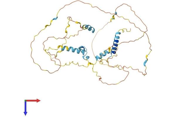 FAM110C Protein (AA 1-421) (His tag)
