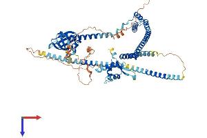 ENOX1 Protein (AA 1-643) (His tag)
