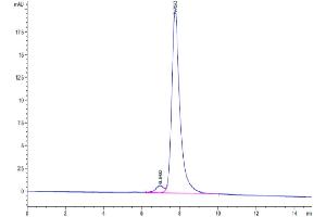 Size-exclusion chromatography-High Pressure Liquid Chromatography (SEC-HPLC) image for Fibroblast Growth Factor 21 (FGF21) (AA 29-209) protein (mFc-Avi Tag,Biotin) (ABIN7274636)