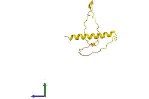 AlphaFold protein structure predicition of Human Recombinant DIRC1 Protein, UniprotID Q969H9