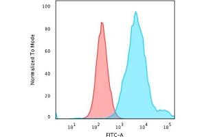 Flow Cytometric Analysis of PFA-fixed HeLa cells using Cytokeratin 18 Rabbit Recombinant MAb(KRT18/2819R) followed by Goat anti-rabbit IgG-CF488 (Blue); Isotype Control (Red). (Rekombinanter Cytokeratin 18 Antikörper)