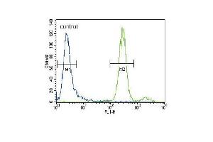 HGF Antibody (C-term) (ABIN388462 and ABIN2848889) flow cytometric analysis of CEM cells (right histogram) compared to a negative control cell (left histogram). (HGF Antikörper  (C-Term))
