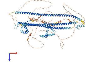 DZIP1 Protein (AA 1-867) (His tag)