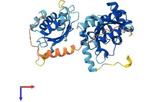 UBE2Q2 Protein (AA 1-375) (His tag)