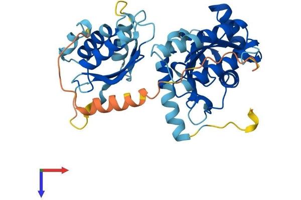 UBE2Q2 Protein (AA 1-375) (His tag)