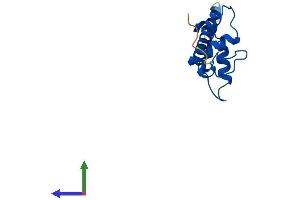 Protein Structure (PS) image for H2A Histone Family, Member V (H2AFV) (AA 1-128) protein (His tag) (ABIN7557063)