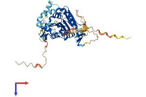 ABHD8 Protein (AA 1-439) (His tag)