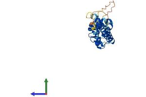 Protein Structure (PS) image for Coiled-Coil Domain Containing 103 (CCDC103) (AA 1-237) protein (His tag) (ABIN7561180)