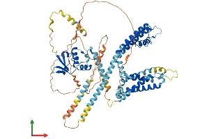AlphaFold protein structure predicition of Human Recombinant KCND1 Protein, UniprotID Q9NSA2 (KCND1 Protein (AA 1-647) (His tag))