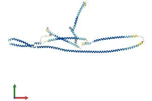 Protein Structure (PS) image for Cut-Like Homeobox 1 (CUX1) (AA 1-678) protein (His tag) (ABIN7553076)