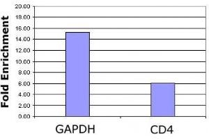 Histone H3K4ac antibody (pAb) tested by ChIP analysis.