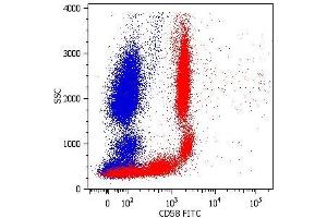 Surface staining of human peripheral blood cells with anti-CD58 (MEM-63) FITC. (CD58 Antikörper  (Biotin))