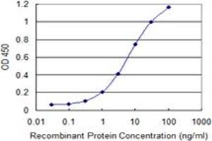 Detection limit for recombinant GST tagged TWIST1 is 0. (TWIST1 Antikörper  (AA 106-174))