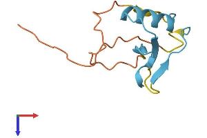 GGNBP1 Protein (AA 1-109) (His tag)