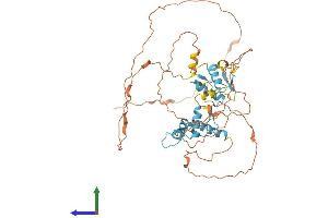 AlphaFold protein structure predicition of Human Recombinant ZIC3 Protein, UniprotID O60481 (ZIC3 Protein (AA 1-467) (His tag))