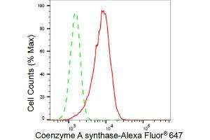 Flow cytometric analysis of Coenzyme A synthase expression in HepG2 cells using Coenzyme A synthase antibody (ABIN7798104), 1:2,000). (Rekombinanter COASY Antikörper)