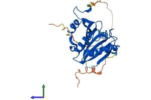 Protein Structure (PS) image for Eukaryotic Translation Initiation Factor 4E Family Member 2 (EIF4E2) (AA 1-245) protein (His tag) (ABIN7558758)